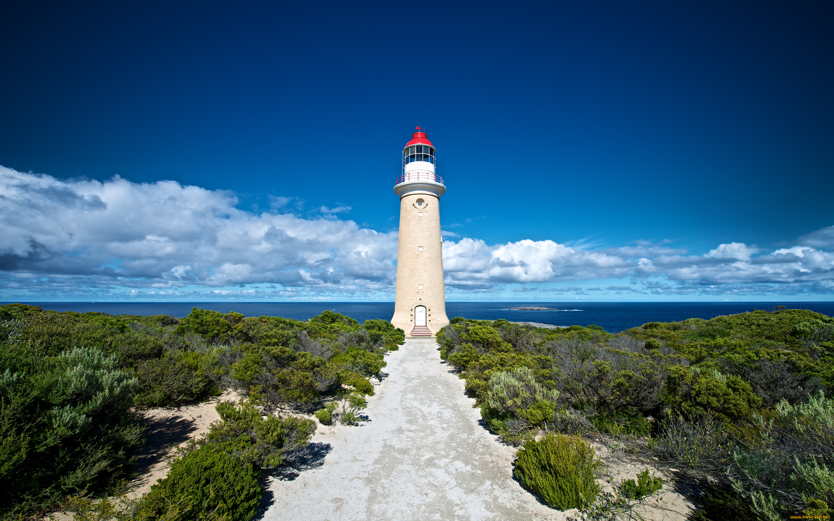 kangaroo, island, australia, , , , lighthouse, , , , 